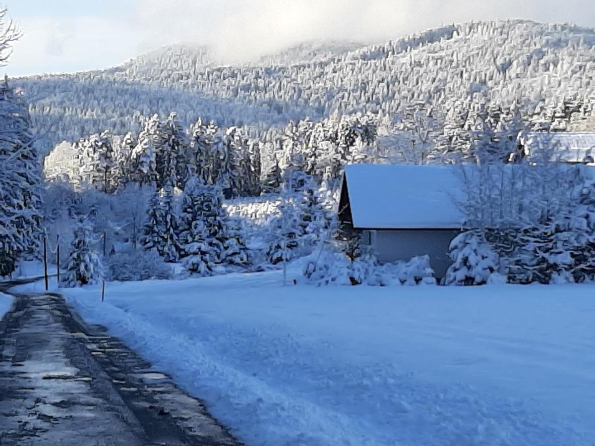 Chalet Waldstadl, Andrea'S Woidhaisl Arnbruck Esterno foto